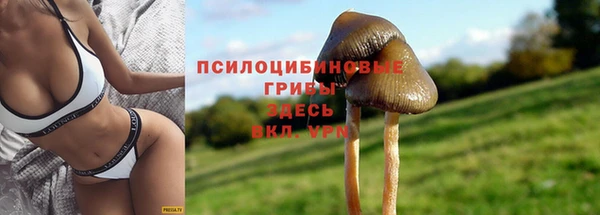 бошки Абаза