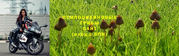 спайс Алексеевка