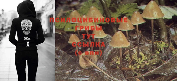 метадон Алзамай
