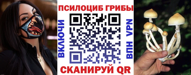хочу наркоту  Ростов-на-Дону  Псилоцибиновые грибы Psilocybe 