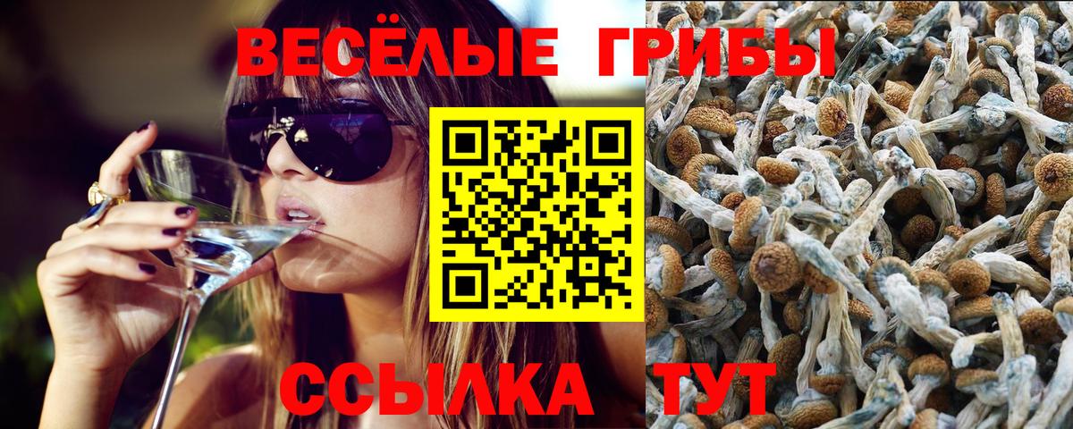 Галлюциногенные грибы ЛСД Ростов-на-Дону