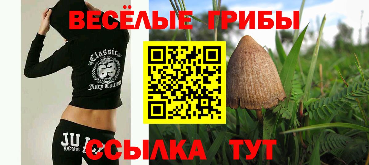 сколько стоит  Вход с VPN  Ростов-на-Дону  Галлюциногенные грибы мухоморы 