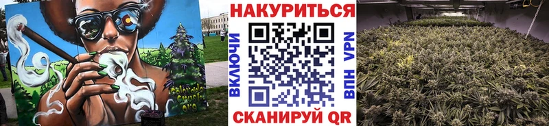 Бошки Шишки OG Kush  Ростов-на-Дону 